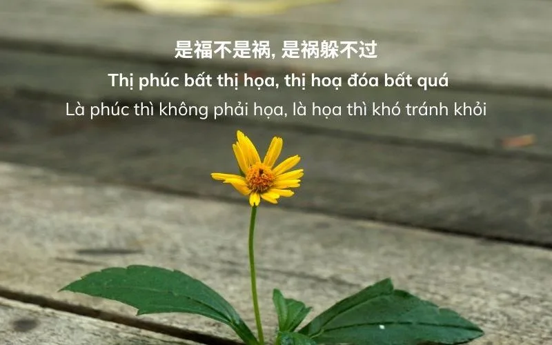 Những Câu Nói Hán Việt Hay Và Ý Nghĩa