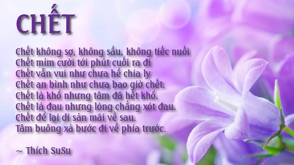 Những Câu Nói Hay Về Cái Chết - Suy Ngẫm Về Cuộc Sống