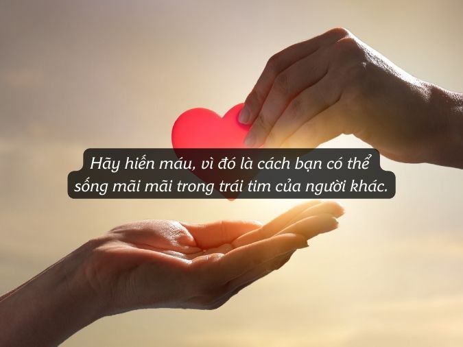 Những Câu Nói Hay Về Hiến Máu Tình Nguyện