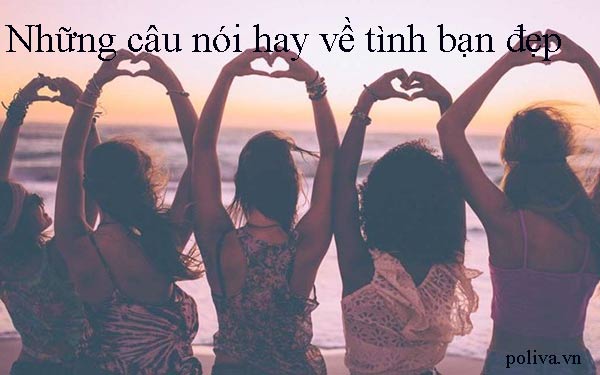 Những Câu Nói Hay Về Kỷ Niệm Bạn Bè Gallery 2