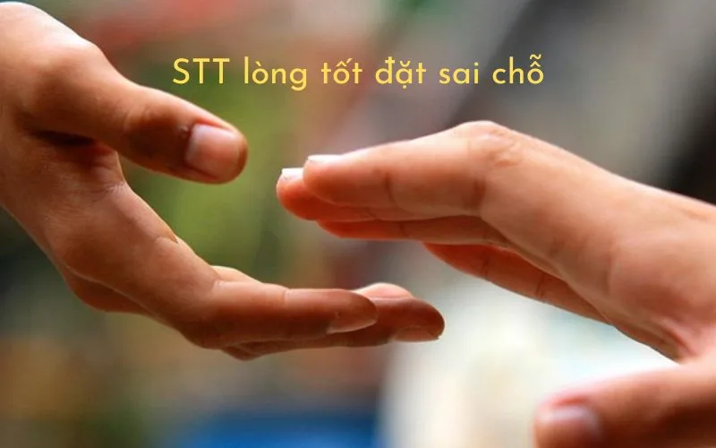 Lòng tốt đặt không đúng chỗ: Khi thiện tâm trở thành gánh nặng