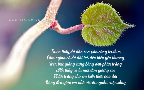 Những Câu Nói Hay Về Người Thầy - Nguồn Cảm Hứng Vô Giá
