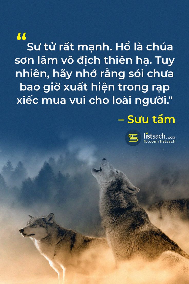 Những Câu Nói Hay Về Sói - Biểu Tượng Của Sức Mạnh Và Lòng Trung Thành