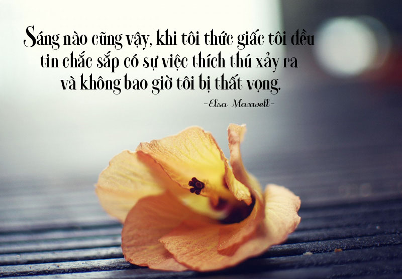 Những Câu Nói Hay Về Thái Độ Sống Tích Cực