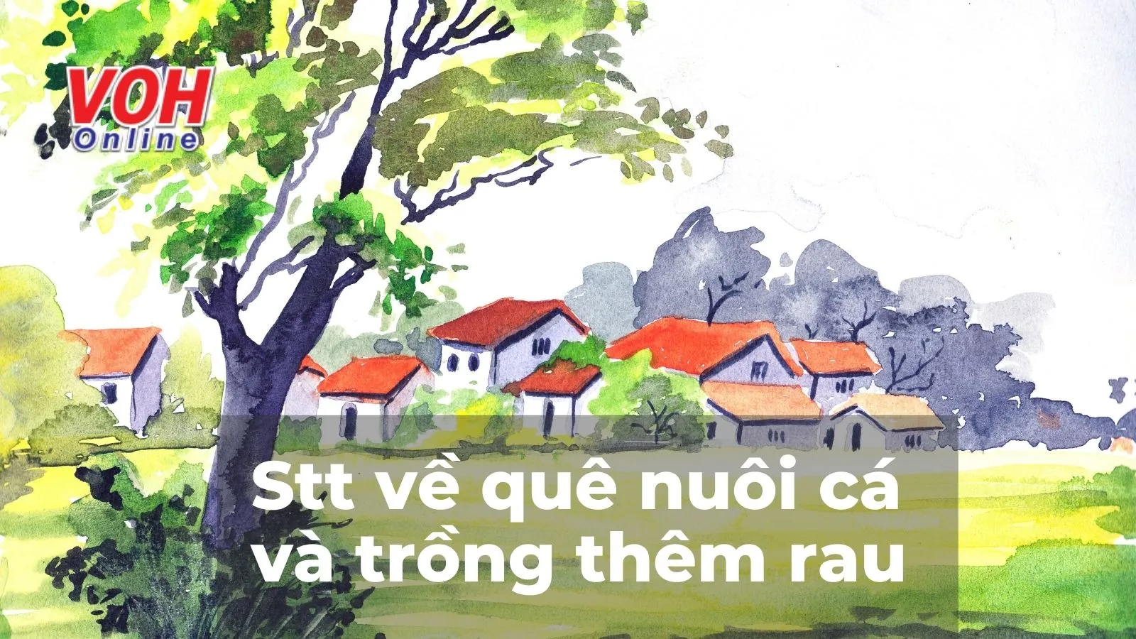 Những Câu Nói Hay Về Vườn Rau Sạch