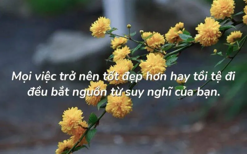 Những Câu Nói Tạo Nghi Lực Mạnh Mẽ