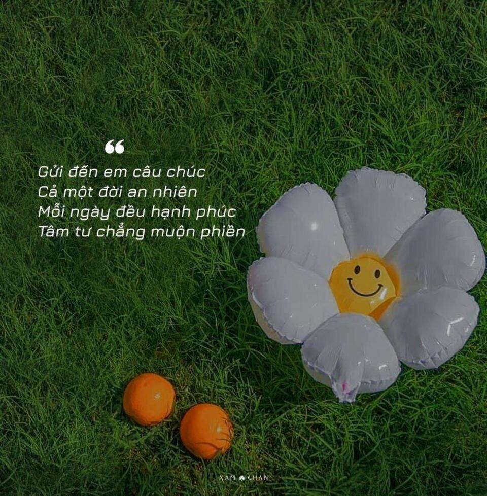 Những Câu Nói Yêu Đời Hay Nhất