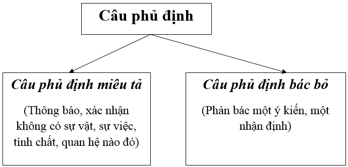 Câu Phủ Định 8: Không Phải Là Điều Bạn Nghĩ