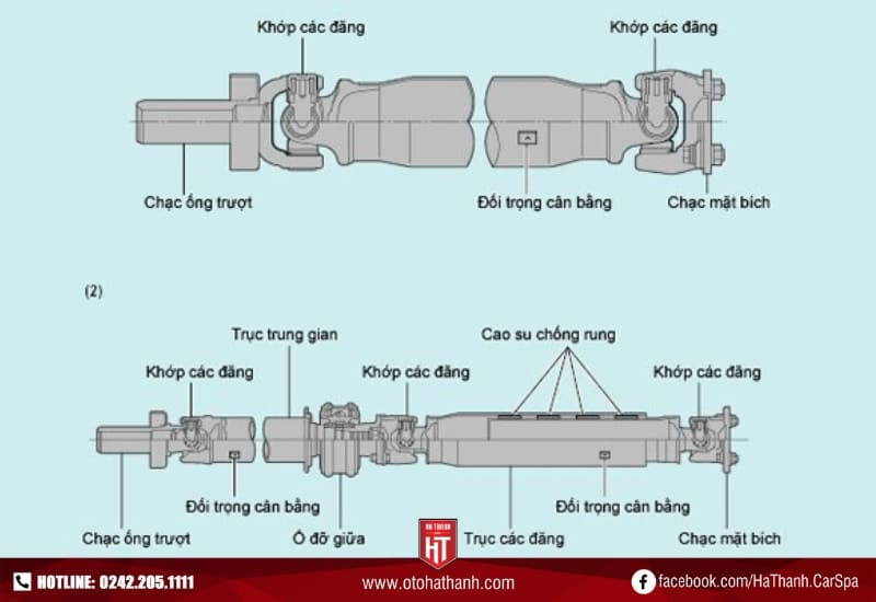 Cây Láp Của Con Trai Là Gì? Gallery 1