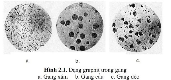 Gang trắng là gì? Gallery 1