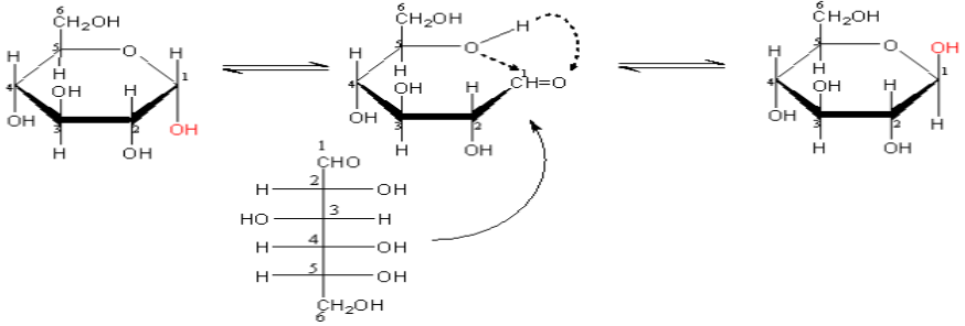 Cấu tạo của Glucozơ