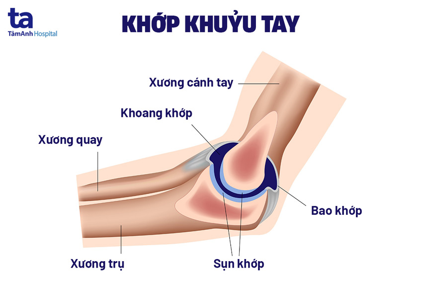 Khuỷu Chân Là Gì? Gallery 1