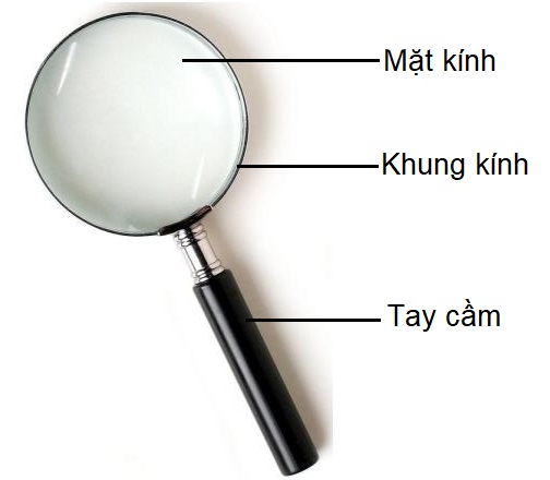 Đặc Điểm Của Kính Lúp Gallery 1