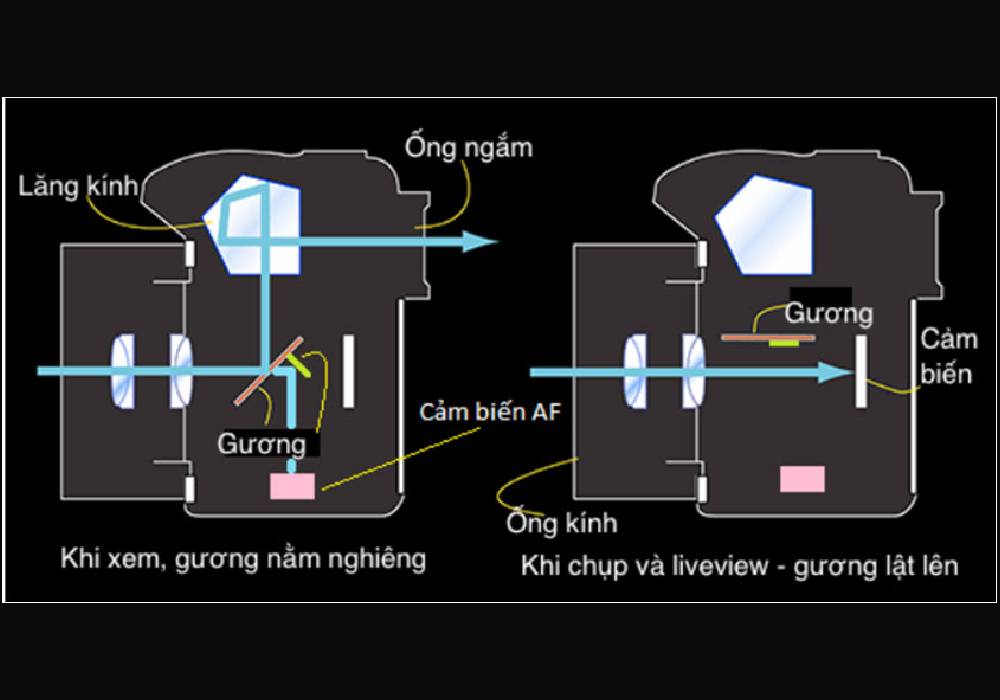 Cấu tạo của máy ảnh