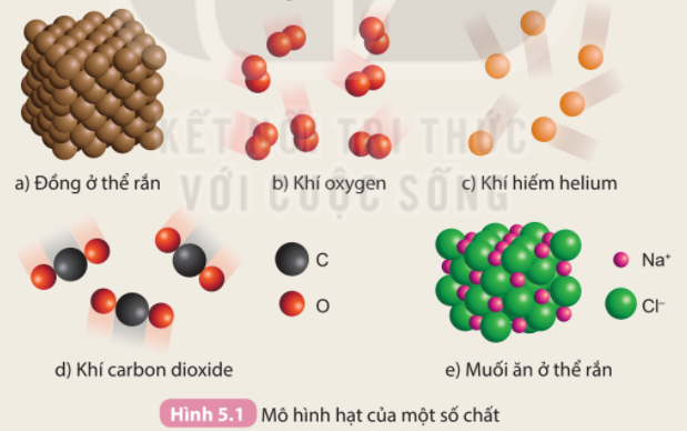 Phân tử muối gồm những gì? Gallery 1