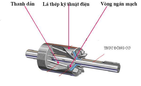 Roto Là Phần Gì? Gallery 1