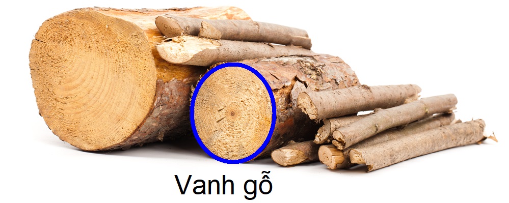 Vành cây là gì? Gallery 1