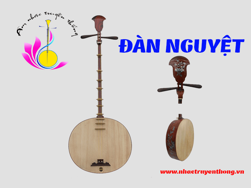 Cấu tạo đàn Nguyệt