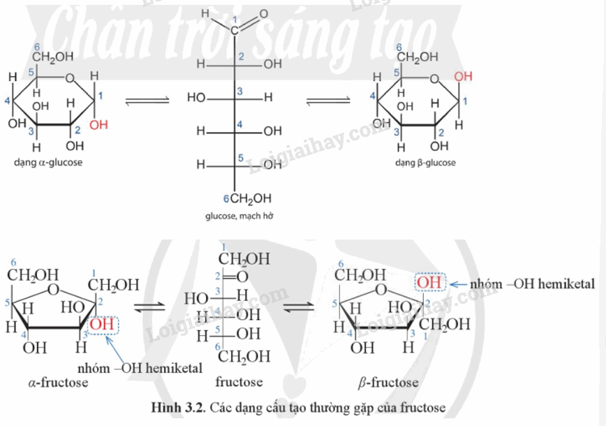 Cấu tạo của Glucozơ Gallery 2