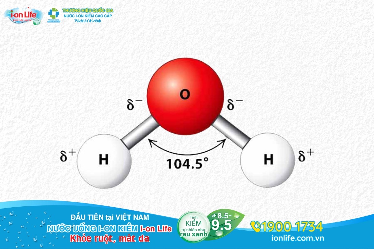 Cấu tạo phân tử là gì?