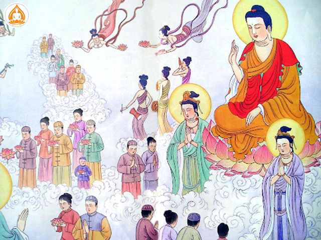 Tay Phương Cúc Lạc Gallery 2