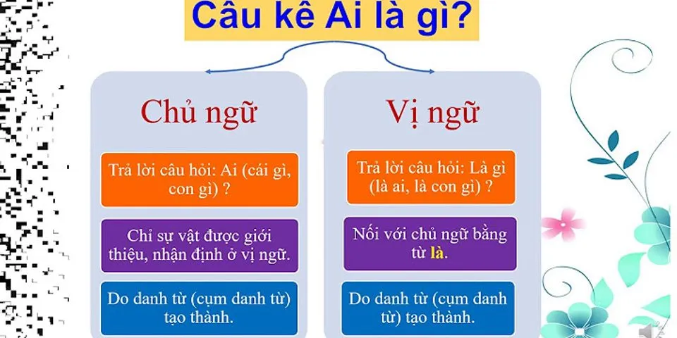 Ngư vĩ là gì? Gallery 1