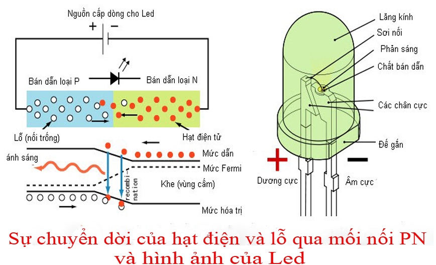 Bộ phận nào của đèn LED phát ra ánh sáng? Gallery 1