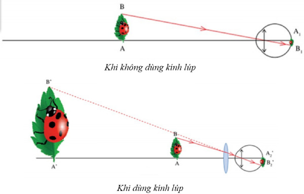 Kính Lúp Là Gì? Gallery 1