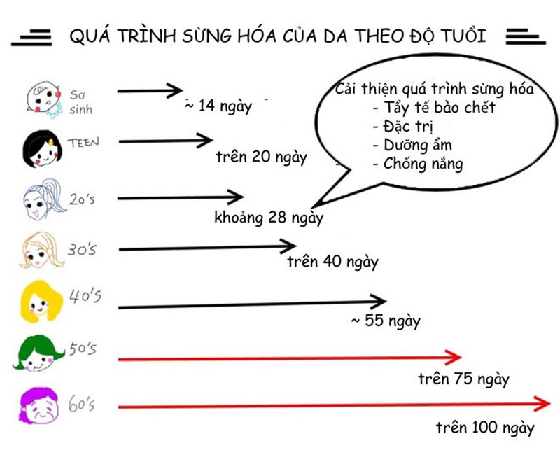 Tế Bào Sừng Là Gì? Gallery 1