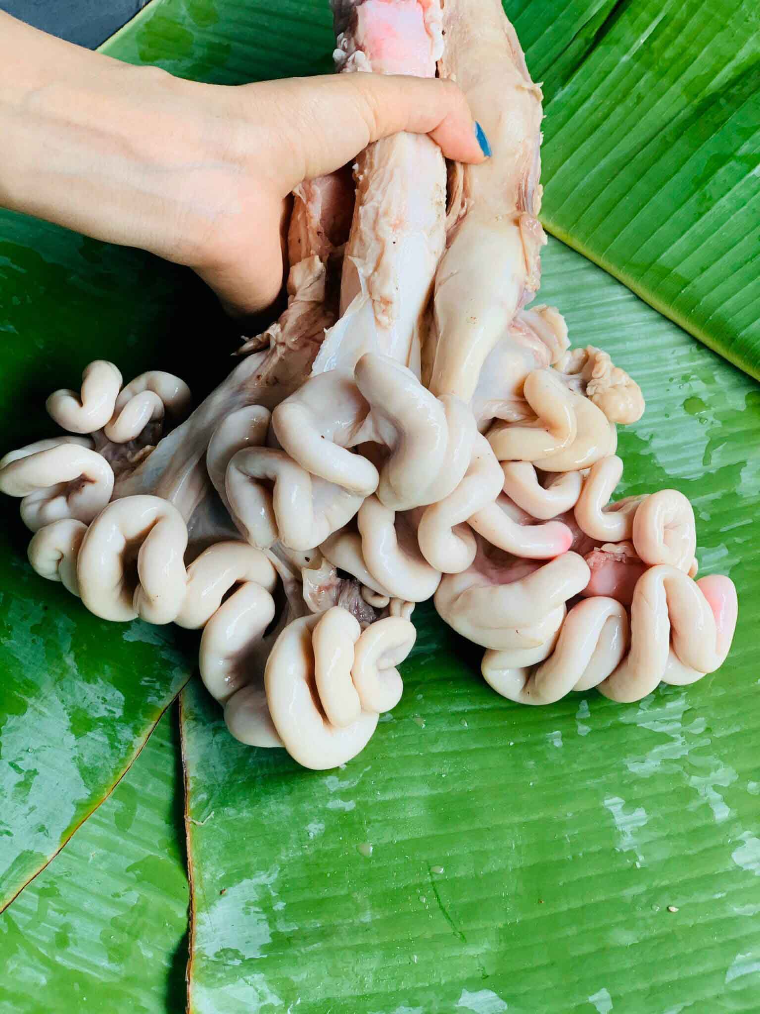 Dồi Trường Là Gì Của Con Heo? Gallery 1
