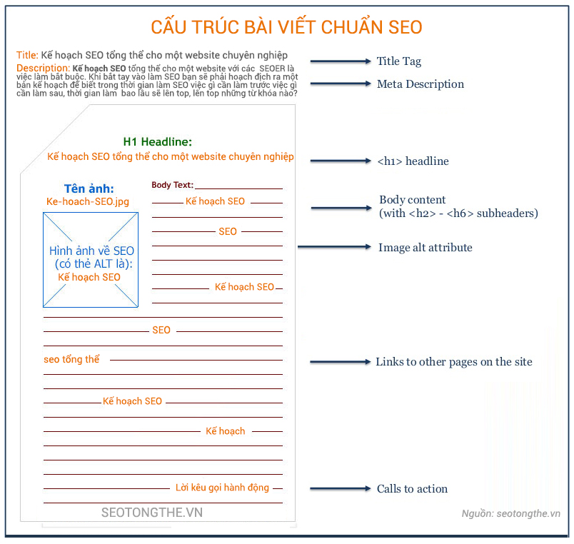 Viết Bài Thu Hoạch Chuẩn SEO: Hướng Dẫn Chi Tiết Gallery 1
