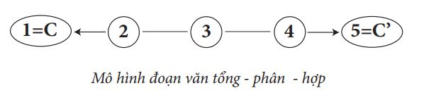 Thế nào là đoạn văn tổng phân hợp? Gallery 1