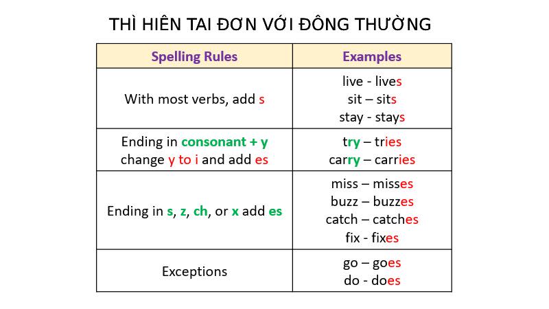 Động Từ Là Sao? Gallery 2