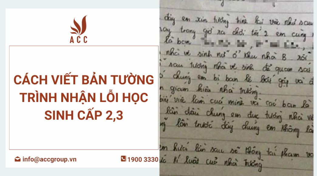 Cách Viết Bản Tự Trình Của Học Sinh Gallery 1