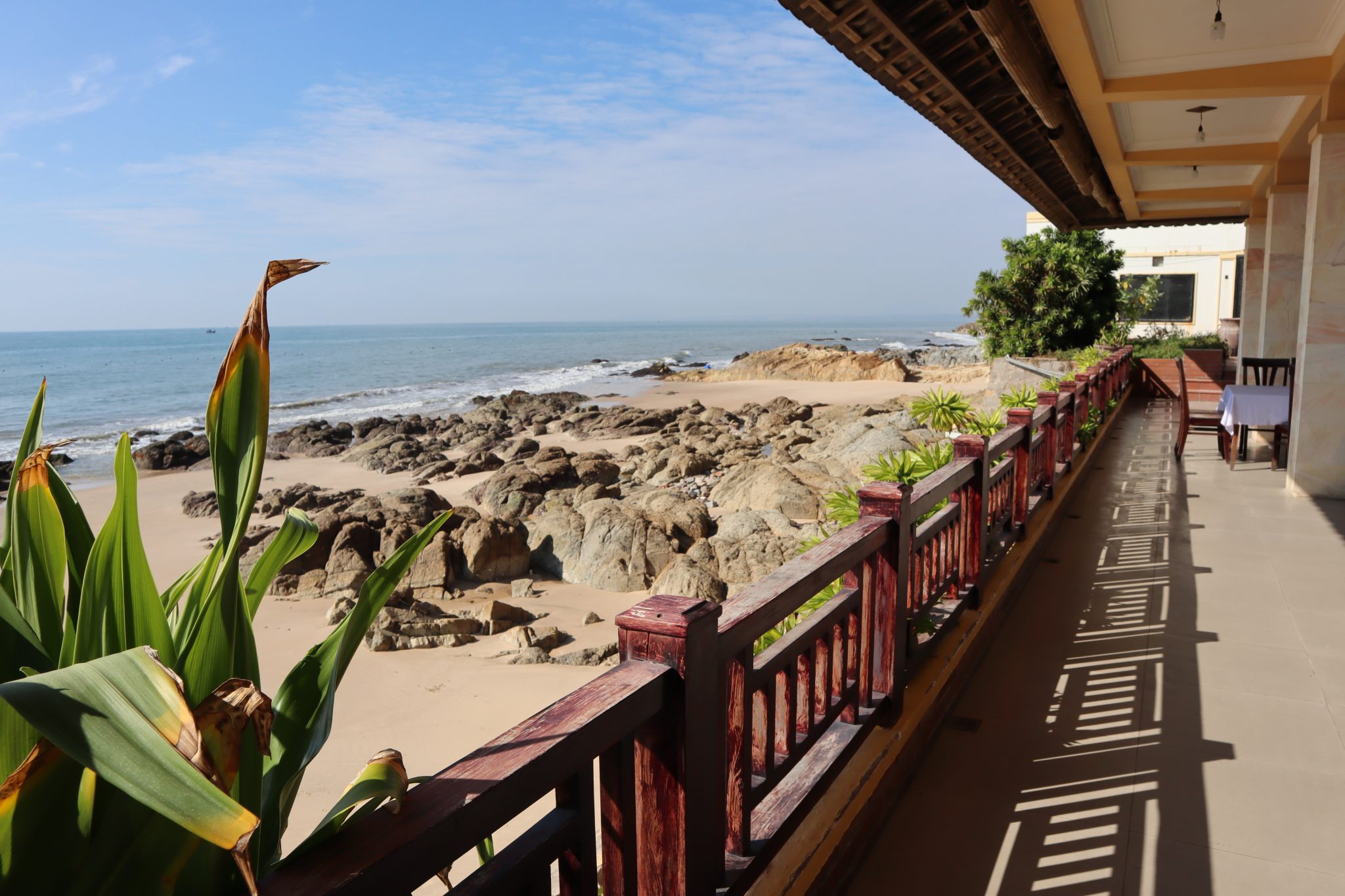 Cây Bàng Mũi Né Gallery 2