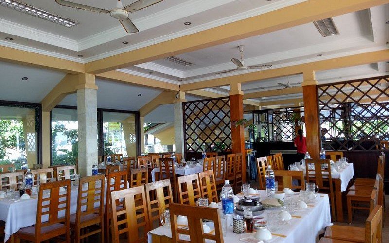 Cây Bàng Phan Thiết: Thông tin chi tiết và vẻ đẹp ấn tượng