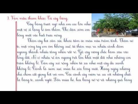 Tả cây bàng lớp 5 Gallery 1