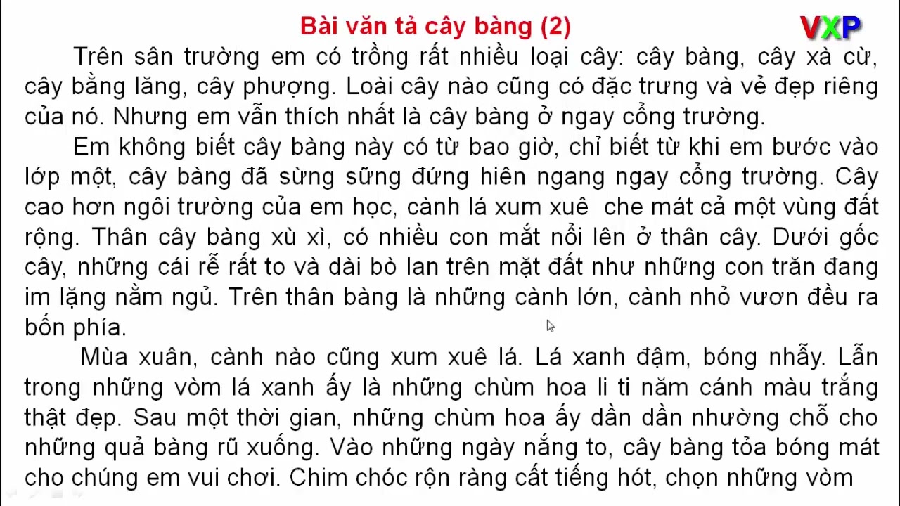 Tả cây che bóng mát lớp 5 Gallery 1