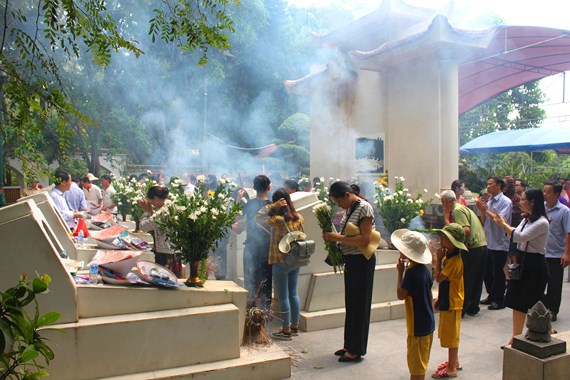Cây có gốc mới nảy cành xanh lá