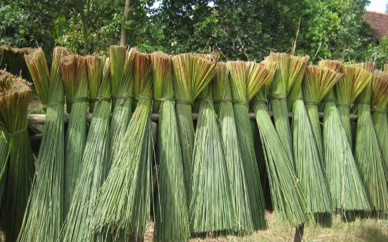Chiếu Lát - Sự Lựa Chọn Hoàn Hảo Cho Mùa Hè