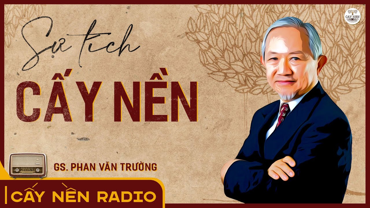 Cấy nền là gì?