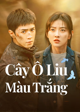 Cây Ô Liu Màu Trắng
