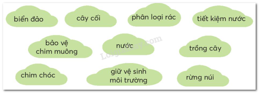 5 Sự Vật Thường Gặp Trong Cuộc Sống Gallery 2