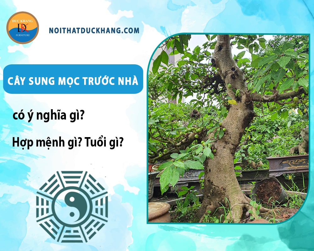 Cây Sung Mọc Trước Nhà Có Ý Nghĩa Gì?