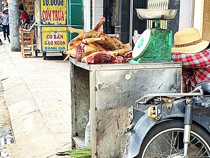 Cầy Tơ Gần Đây: Thông Tin Mới Nhất Về Xu Hướng Và Giá Cả
