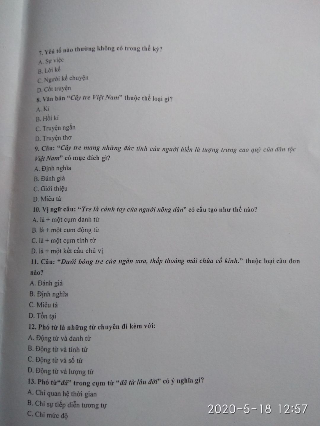 Cây Tre Việt Nam Thuộc Thể Loại Gì?