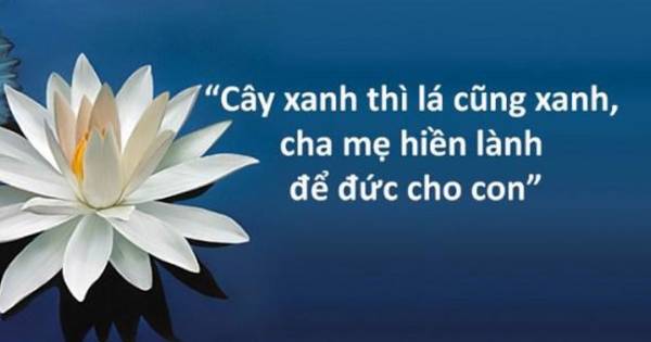 Cây xanh thì lá cũng xanh