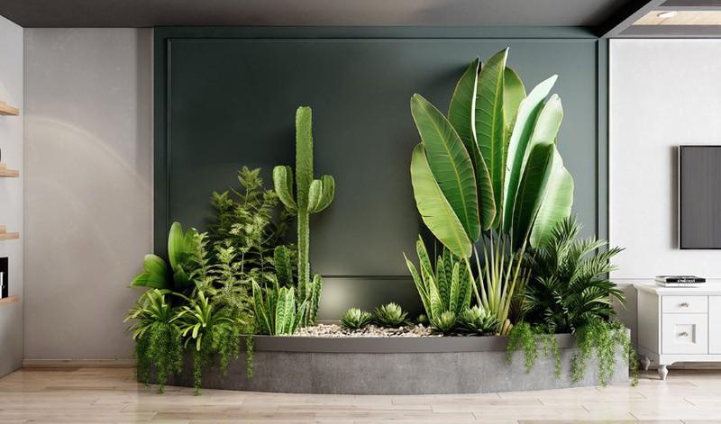 Các Loại Cây Xanh Phổ Biến Và Ứng Dụng Của Chúng Gallery 1