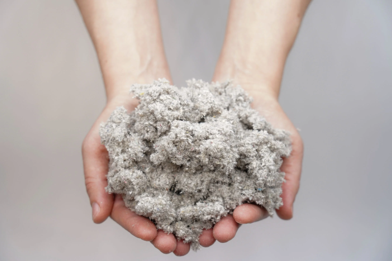 Cellulose là chất gì?