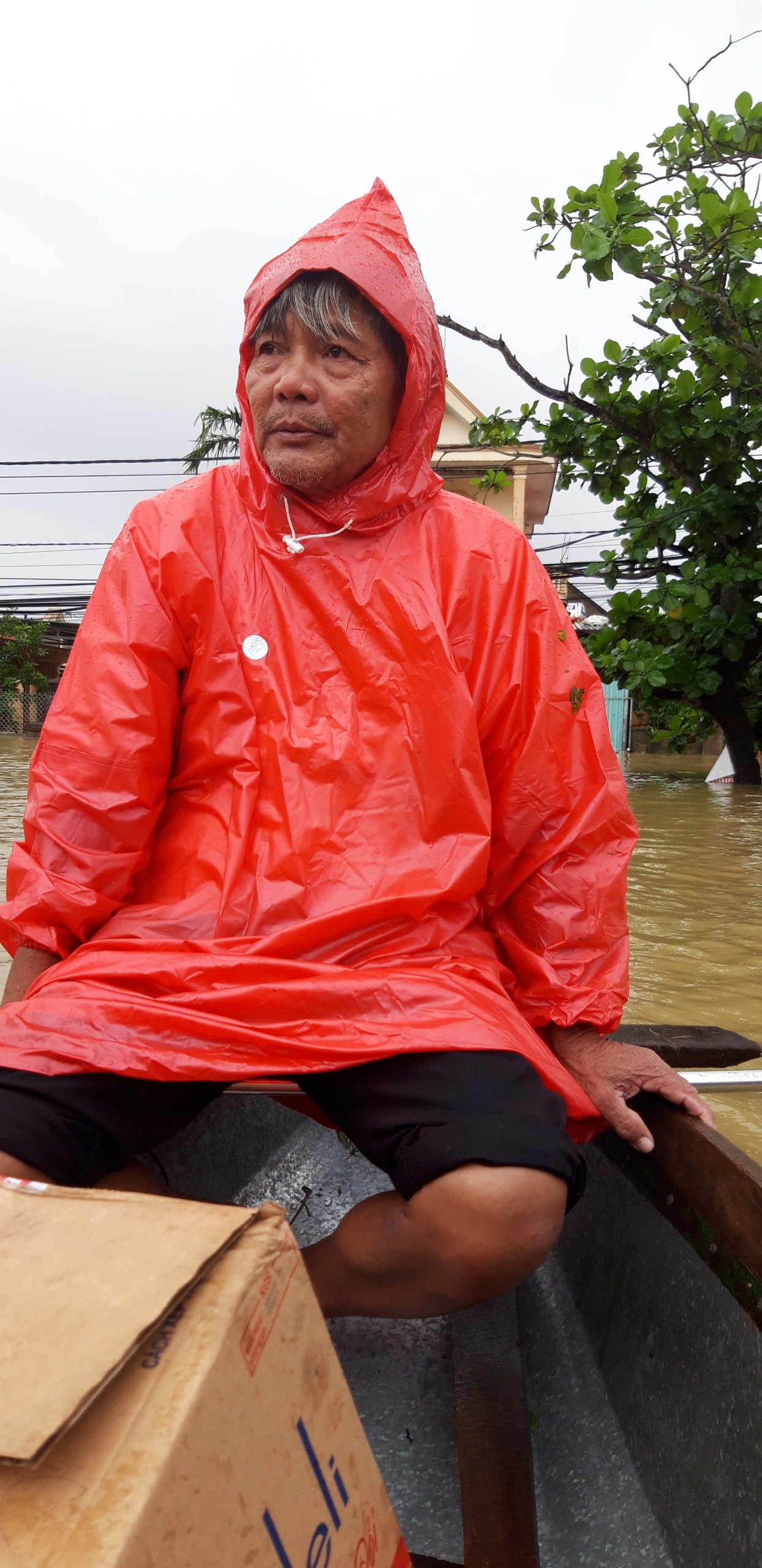 Cha Con Ong Bảo Vệ